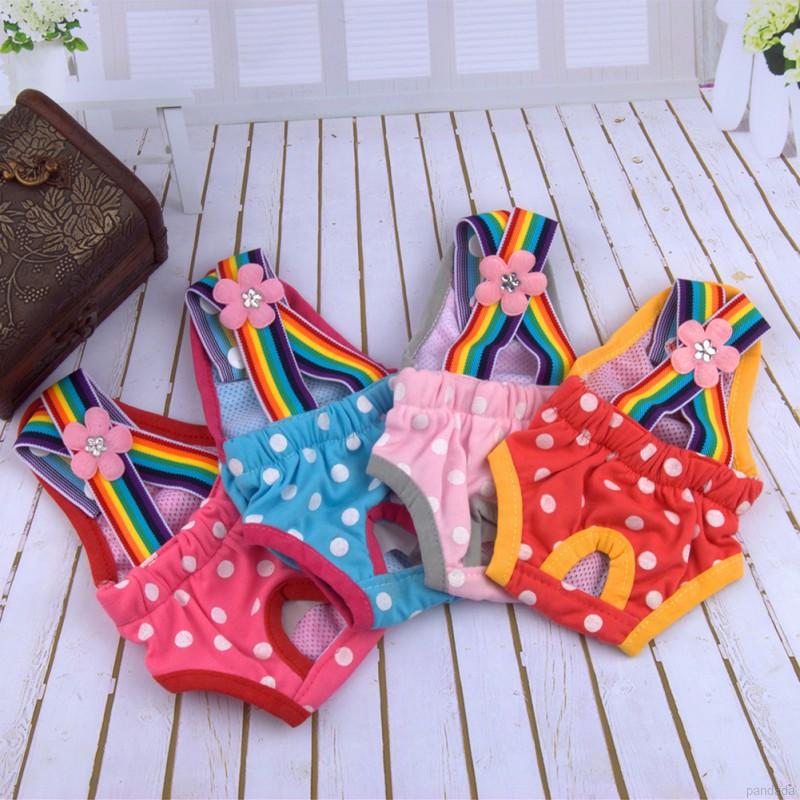 Quần Lót Sinh Lý Cho Thú Cưng