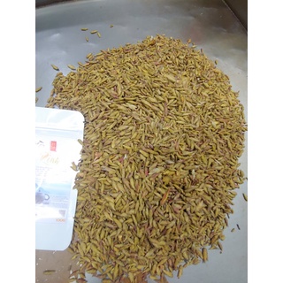 100g trà Móng rồng thơm đặc sắc. Chỉ có ở Hà Giang, trà núi đuôi rồng.