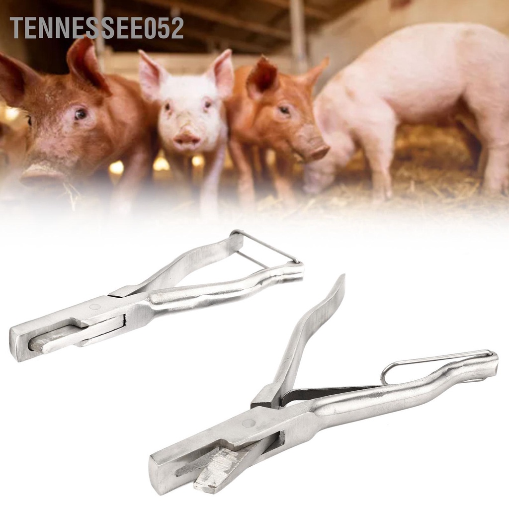 Tennessee052 Thẻ đeo thẻ tai lợn Kìm bấm lỗ động vật bằng thép không gỉ với khóa an toàn để nhận dạng dê cừu gia súc