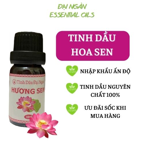 Tinh dầu thơm phòng thiên nhiên hoa sen nguyên chất xông phòng