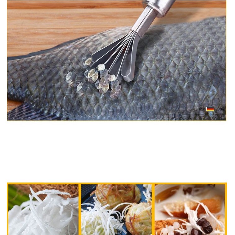 Đánh vảy cá 💓FREESHIP💓 Cây cạo vảy cá, nạo dừa chất liệu thép không gỉ, bền bỉ 3176