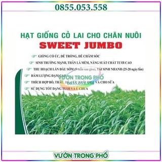 Hạt Giống Cỏ cao lương Sweet Jumbo - Gói 100g