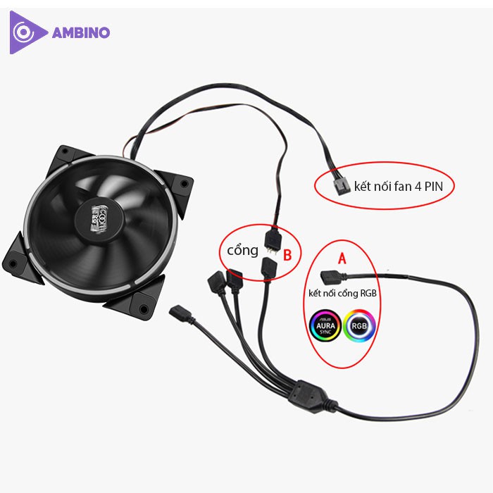 Dây chia cổng RGB 5V 3Pin loại 1 ra 4