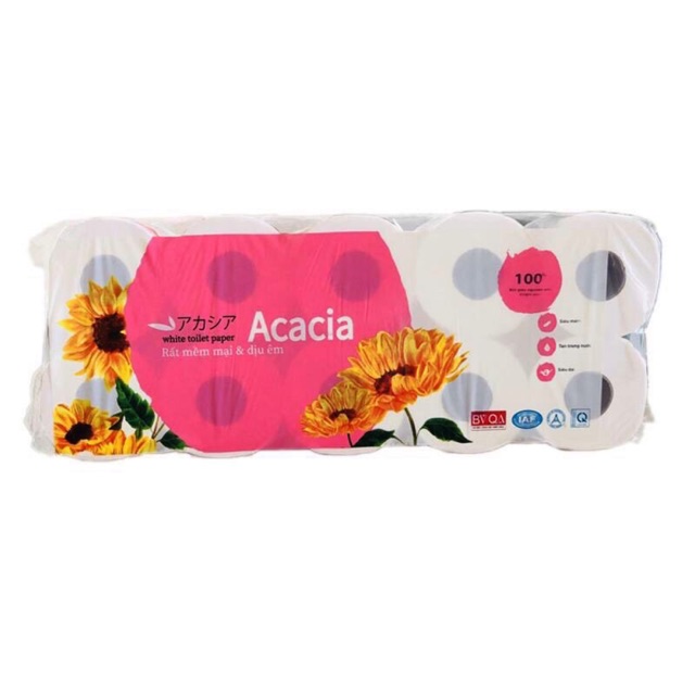 Giấy vs cao cấp acacia hàng xuất nhật