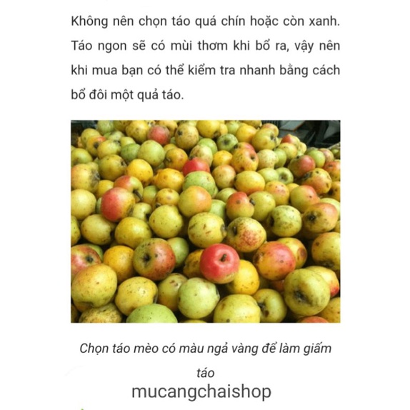 Giấm táo mèo tươi Yên Bái đậm đặc nguyên chất 100%