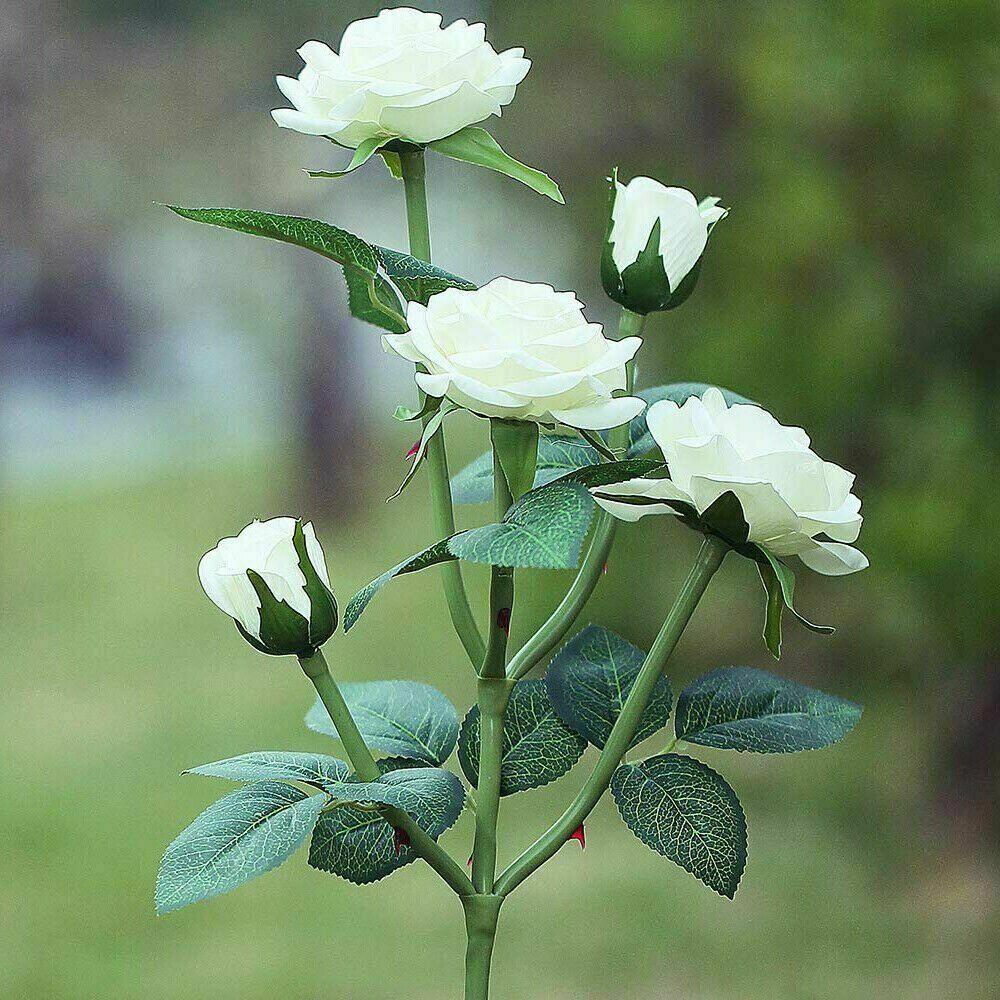 LONTIME 5 Heads Colorful Flower LED Lamp 5 Heads Landscape Lamps Rose Solar Lights Realistic for Garden Patio Yard Pathway Waterproof Lawn Decoration Outdoor Decorative Light/Multicolor