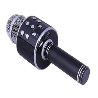Mic karaoke WS-858