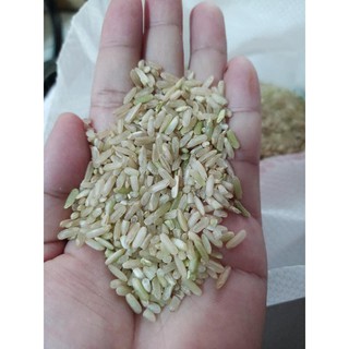 Gạo Lứt Séng Cù Mường Khương