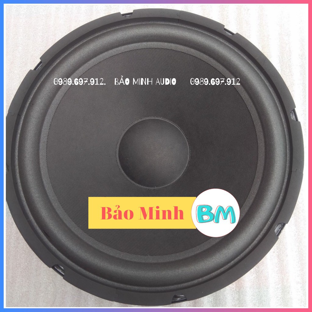 BASS 30 TỪ 100MM COIL 35.5MM DÙNG CHO LOA KÉO HOẶC AMPLI NHỎ PT1205