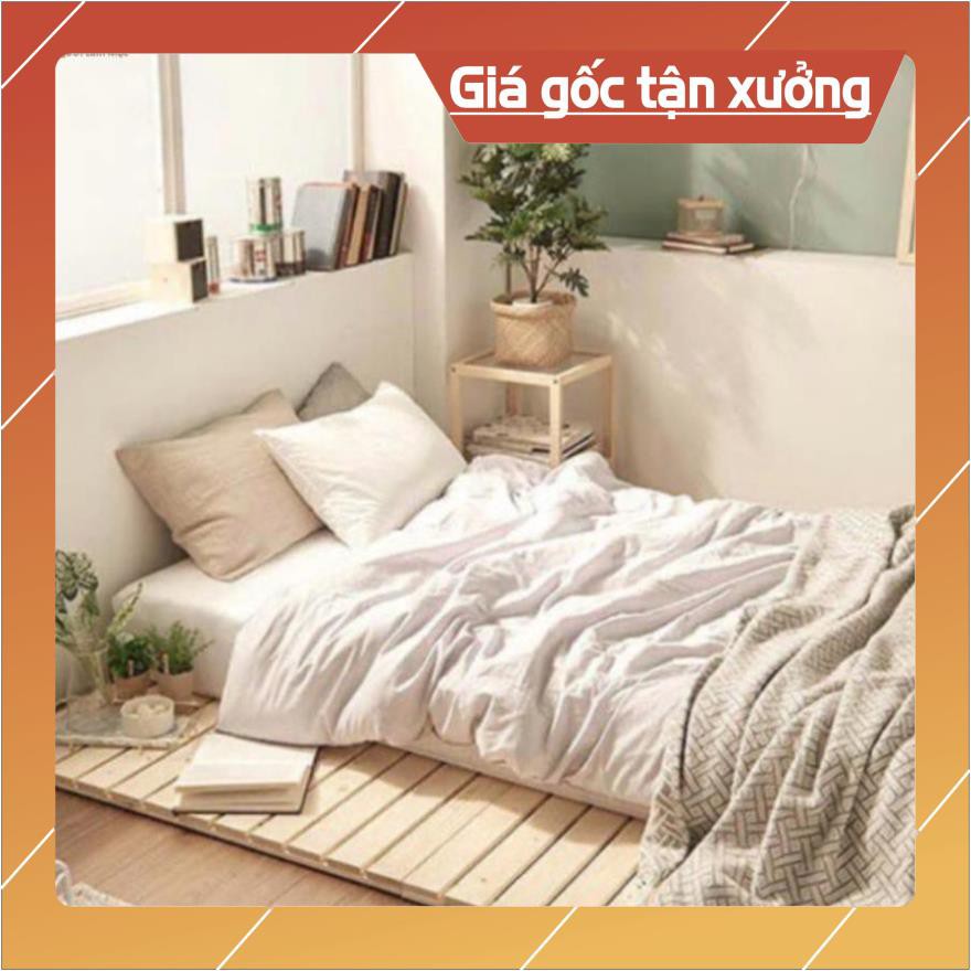 Giường Ngủ Pallet Gỗ Thông Gấp Gọn Bola