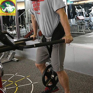 Đai Lưng Gánh Tạ Tập Gym
