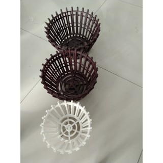 Chậu giả gỗ trồng lan