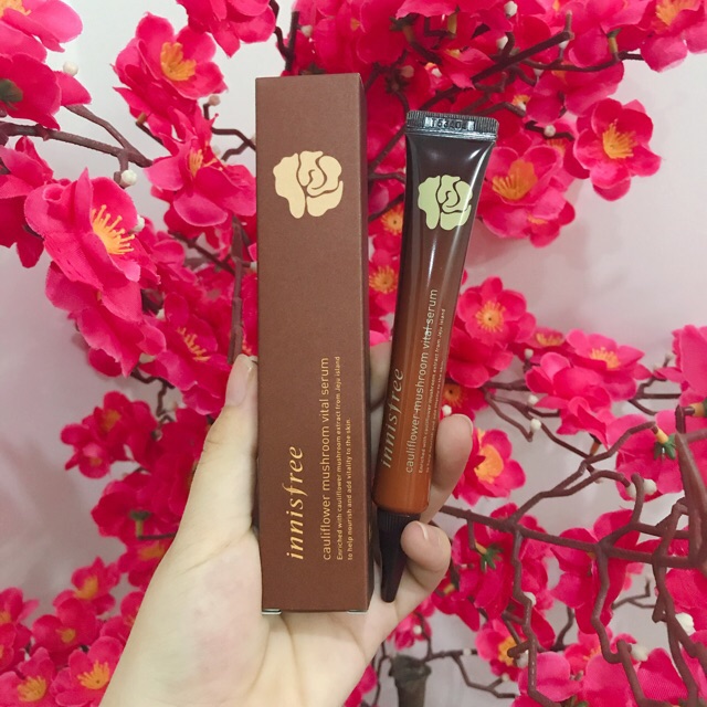 Serum Innisfree Chiết Xuất Nấm Bông Quý Hiếm Cauliflower Mushroom Vital 25ml | BigBuy360 - bigbuy360.vn