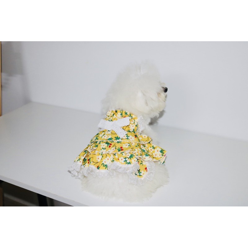 Đầm công chúa dễ thương cho thú cưng CARAPETS