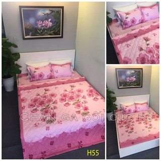 Combo chăn - drap - gối - gối ôm cotton