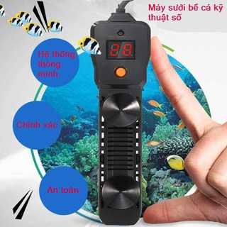 Máy sưởi bể cá kĩ thuật số
