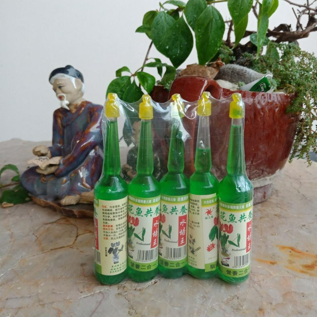 COMBO 2 Chậu nhựa trồng cây thủy sinh, bình trồng cây thủy sinh, lọ trồng cây bằng nhựa trong suốt  RỌ ĐỠ