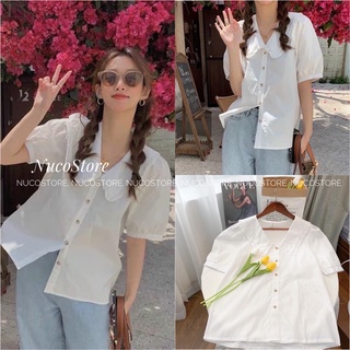Áo Sơ Mi Ngắn Tay Cổ Bèo Ulzzang, Áo Tiểu Thư