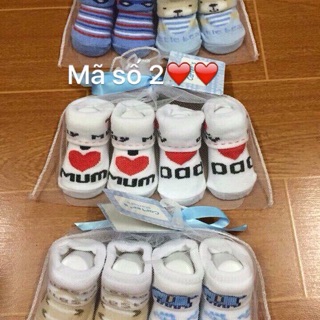 Set tất carter