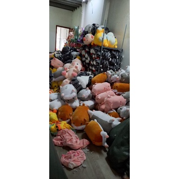 Gấu kèm chăn, chăn gối văn phòng heo hí, gấu 2in1, heo có chăn bên trong