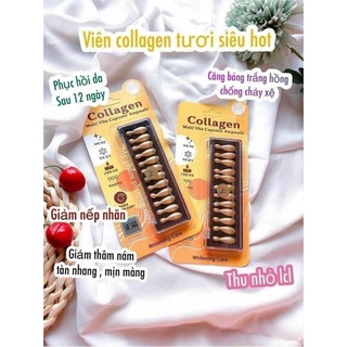 💦💦𝗖𝗢𝗟𝗟𝗔𝗚𝗘𝗡 𝗧ƯƠ𝗜 Vỉ 12 𝘃𝗶ê𝗻 - 𝗔𝗠𝗠𝗨𝗗 𝗠𝗨𝗟𝗧𝗜 𝗩𝗜𝗧𝗔 𝗔𝗠𝗣𝗢𝗨𝗟𝗘 Chính hãng Hàn Quốc