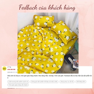 Combo 5 món chăn hè Cotton Poly ( 1 chăn hè, 1 ga, 2 vỏ gối nằm, 1 vỏ gối ôm) - Kích thước M2/M6/M8/2M2