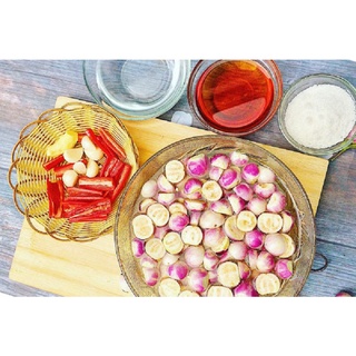 [HÀNG CHÍNH HÃNG] 1GR - HẠT GIỐNG CÀ PHÁO TÍM