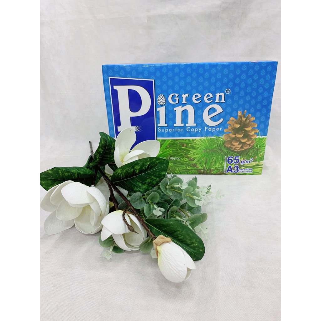 Giấy in, giấy photo Green pine A3, A4, A5 ĐL 65g/m2 ( 500 tờ/1 ram ) - Giấy In Văn Phòng