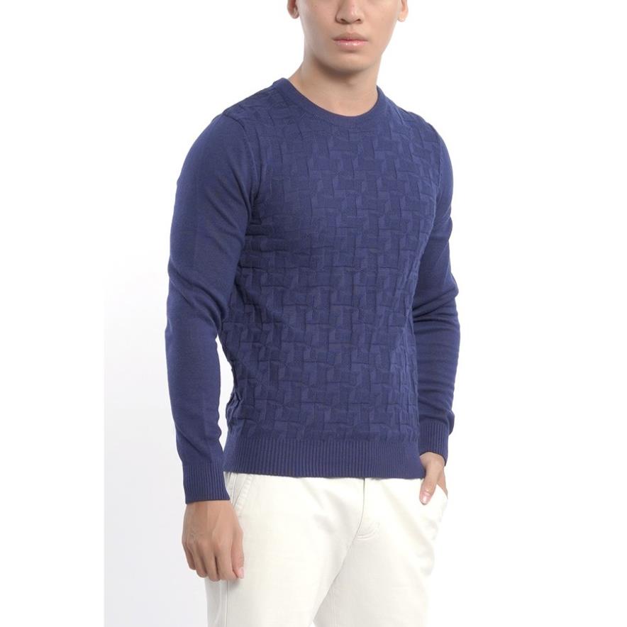 (SALE 50%) Áo len nam Aristino hiệu ứng dệt độc đáo, mạnh mẽ AWO026W7, TAG 650K ):>