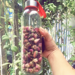 50g nụ Hồng khô Iran ROSE BUD có kèm bình