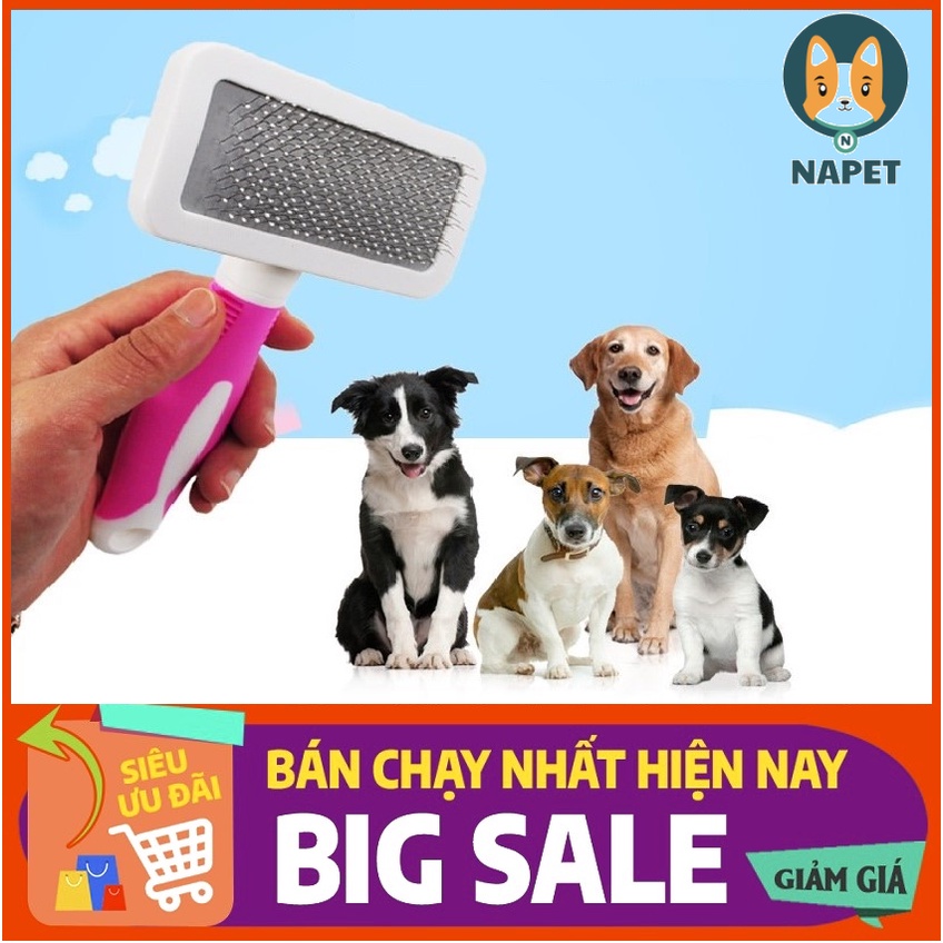 Lược chải lông Petgrooming đầu kim loại bỏ lông chết và bụi bẩn, giúp bộ lông của thú khỏe mạnh và óng mượt