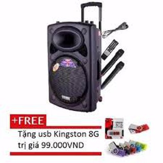 Loa kéo temeisheng dp2305l + tặng 1 usb kingston 8g
