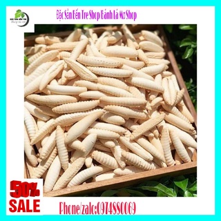 500gr bánh sùng cốt dừa sầu riêng thơm ngon giòn béo bến tre- đặc sản bến tre shop