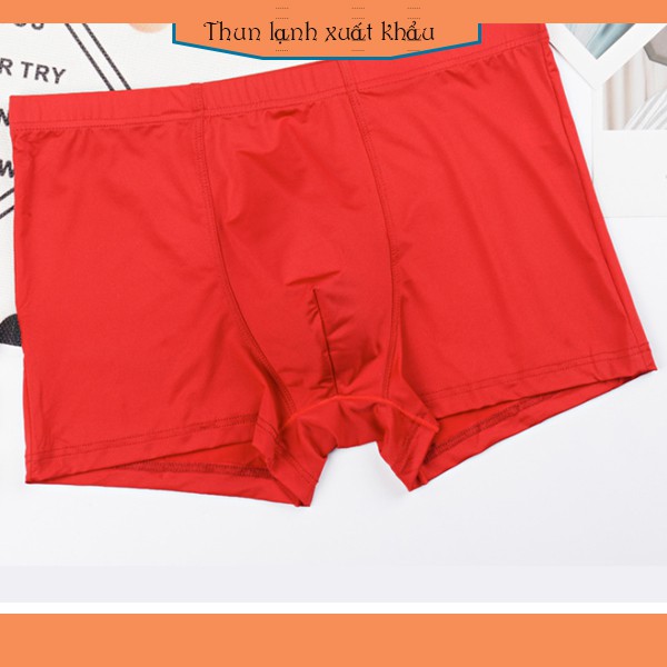 Quần sịp nam thun lạnh cao cấp dạng Boxer - Thương hiệu Việt: BADBIRD