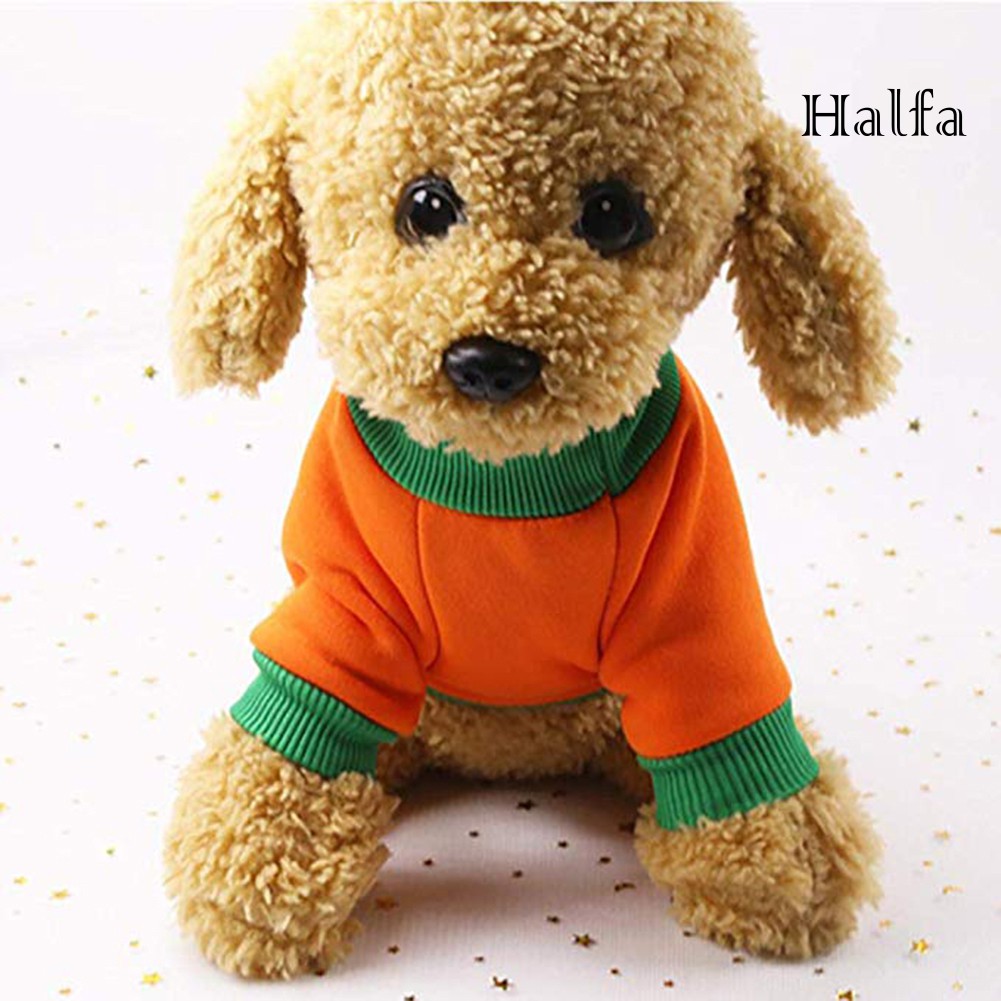 Bộ Đồ Hóa Trang Halloween Cho Thú Cưng