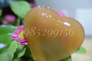 Kombucha, nấm thủy sâm, Scopy kèm nước mồi