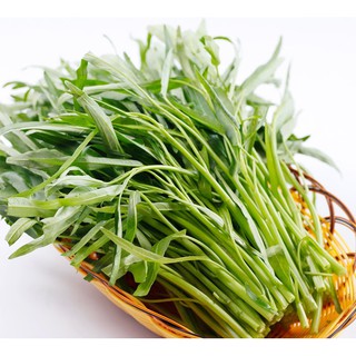 50gr - HẠT GIỐNG RAU MUỐNG