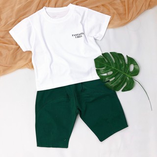 Set áo thun quần lửng hình khủng long (2 màu) (N00529)