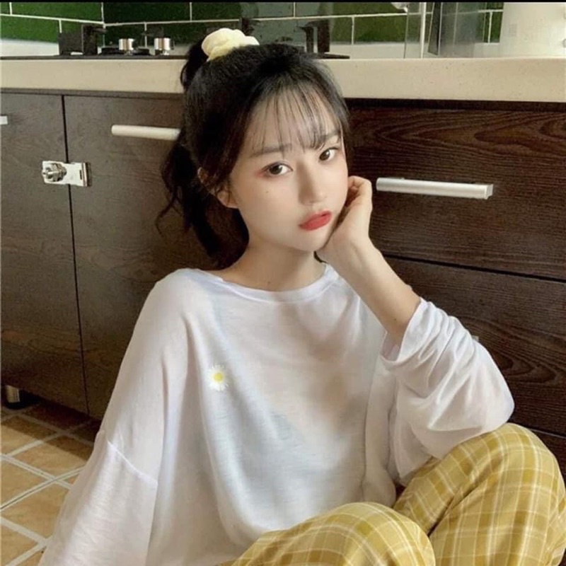 ÁO THUN GIẤY DÀI TAY 5 MÀU QC HOT