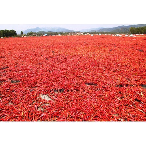 Hũ ớt bột siêu cay chỉ thiên-Cayenne pepper