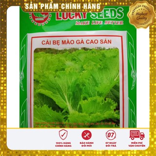 Hạt Giống Cải Bẹ Mào Gà Cao Sản - 20gr