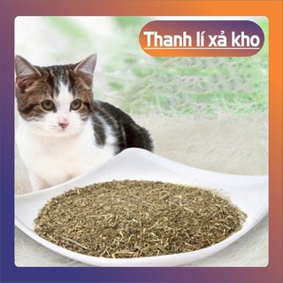 [ĐỔ SỈ] Túi đựng  Đồ chơi cho mèo 🐱