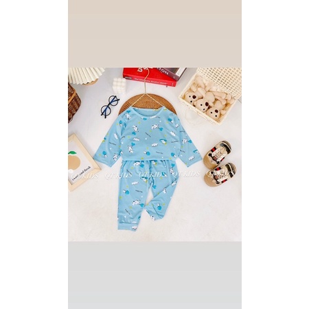 (MS24)Bộ dài tay thun lạnh siêu dễ thương cho bé trai/bé gái