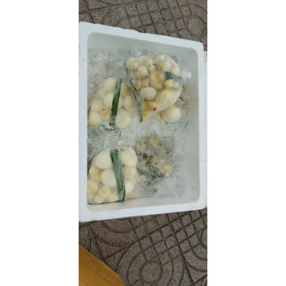 MỘNG DỪA TƯƠI