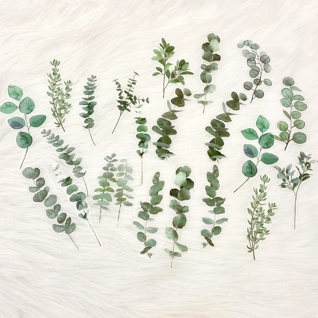 ⚡ Nhãn dán trang trí lá cây siêu dễ thương - IY46