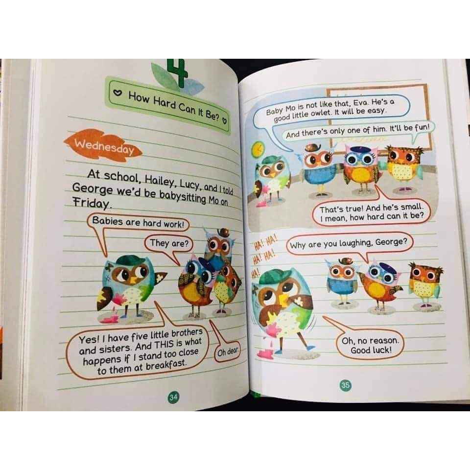 Owl diaries
