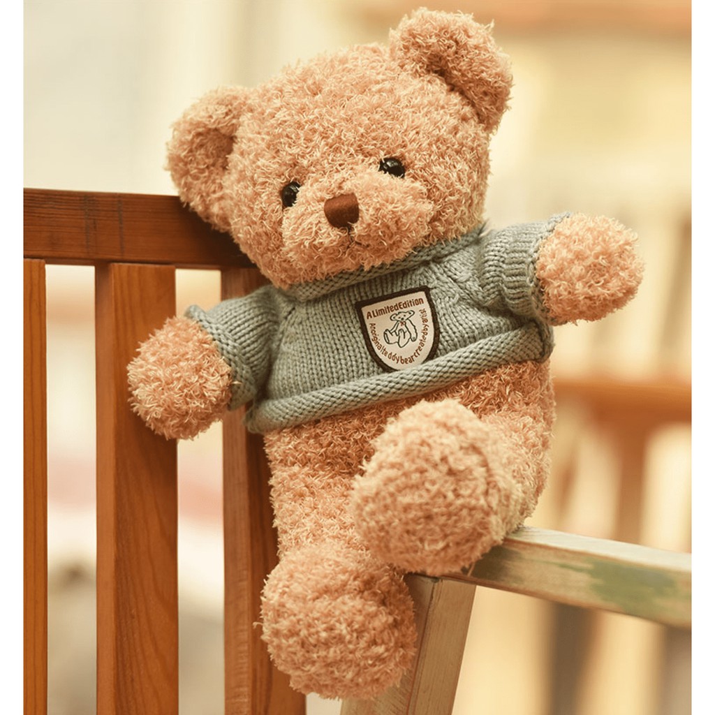 Gấu Bông Teddy Head Tales đẹp cỡ nhỏ 40cm, nhồi bông gòn cao cấp, lông