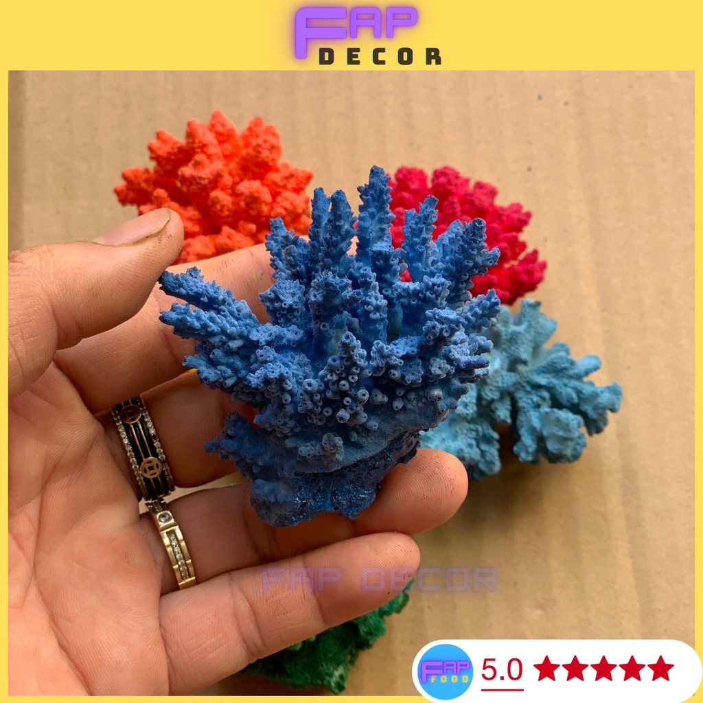 BÔNG RẠN SAN HÔ MINI PHONG THỦY PHỐI MÀU DECOR NHÀ CỬA, SAN HÔ NHIỀU MÀU TRANG TRÍ THỦY SINH