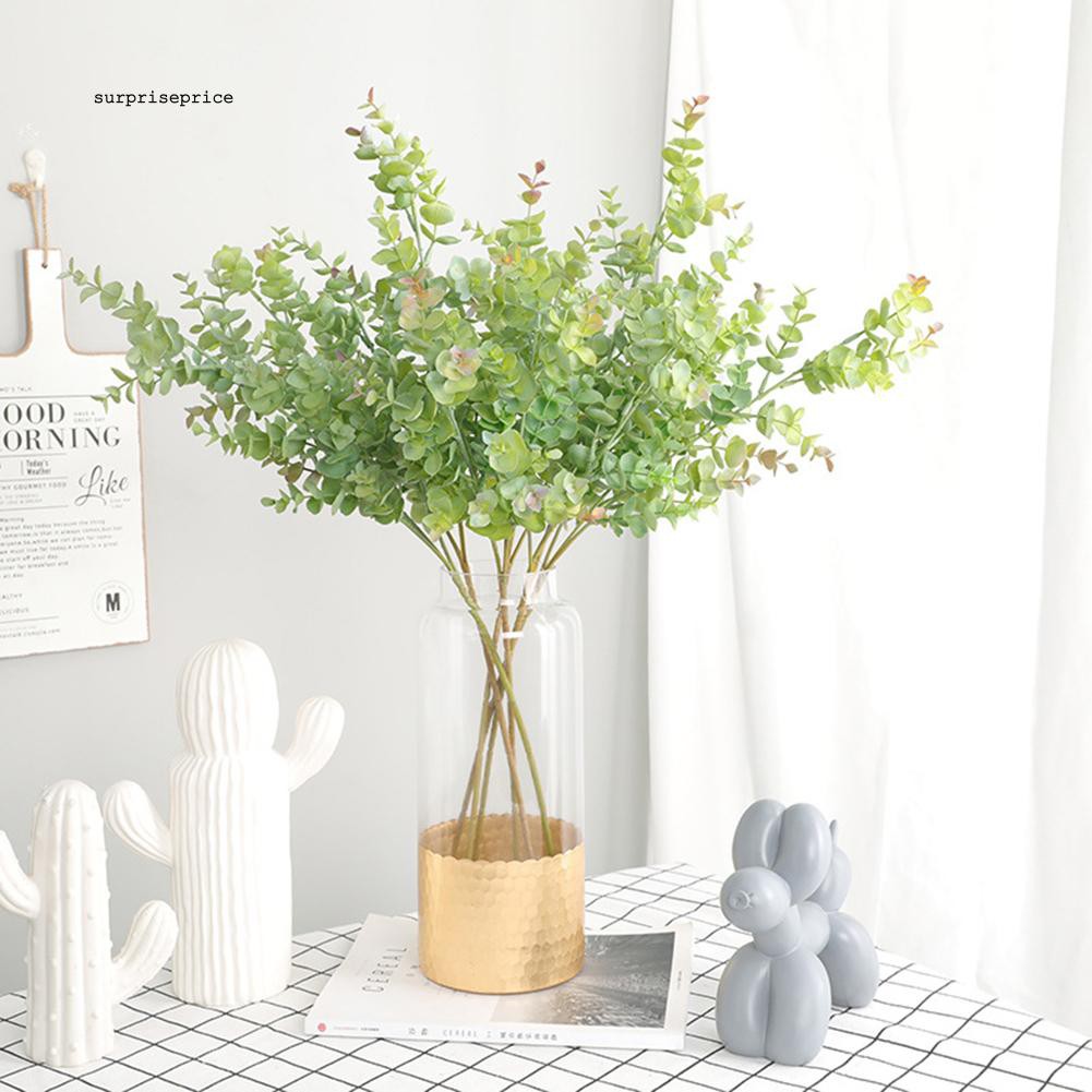 Nhánh lá bạch đàn giả đa năng chất lượng cao