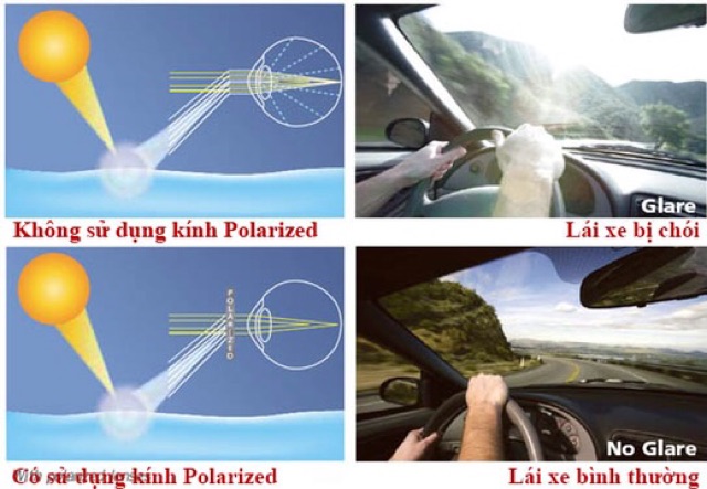 ❌ GIÁ GỐC 🎁 Kính mát TBBT nam cao cấp phân cực polazied | BigBuy360 - bigbuy360.vn